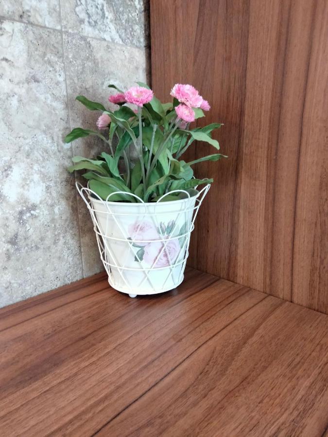 Apartament De Lux Cu Terasa Apartment Timisoara Bagian luar foto